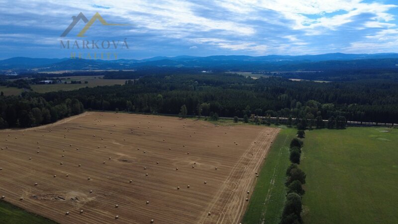 Prodej, rodinný dům, Bujanov, 4 179 m²