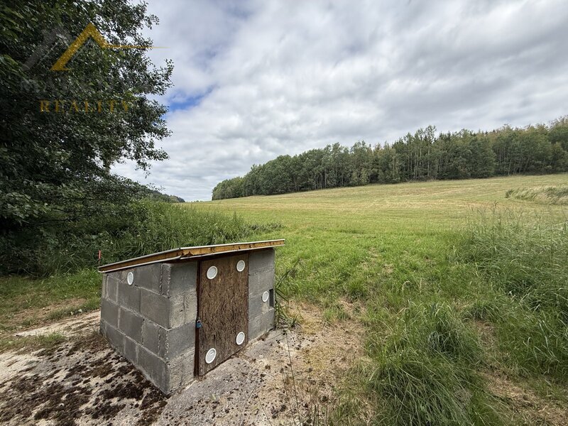 Prodej, rodinný dům, Bujanov, 4 179 m²