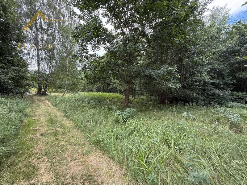Prodej, rodinný dům, Bujanov, 4 179 m²