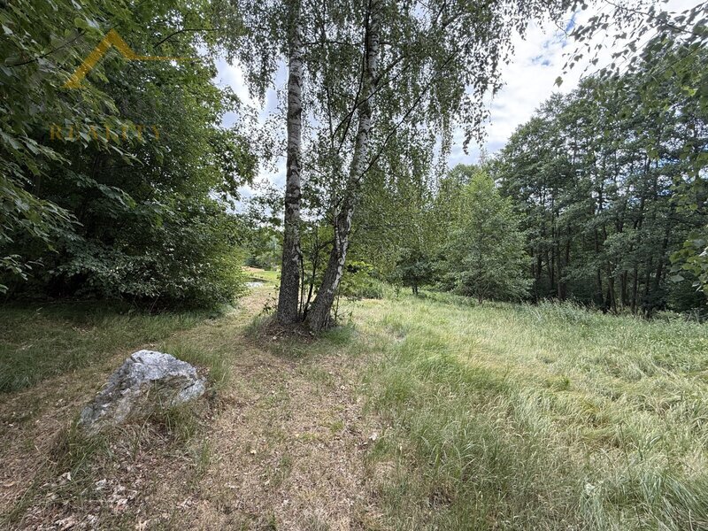 Prodej, rodinný dům, Bujanov, 4 179 m²