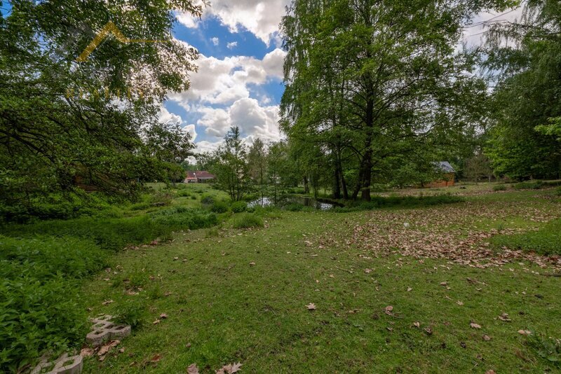 Dlouhodobý pronájem pozemku 6 665 m² ve Skalici nad Lužnicí – 2 vodní plochy, ovocné stromy, oplocen