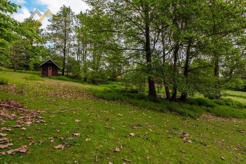 Dlouhodobý pronájem pozemku 6 665 m² ve Skalici nad Lužnicí – 2 vodní plochy, ovocné stromy, oplocen