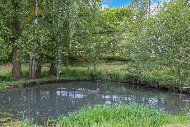 Dlouhodobý pronájem pozemku 6 665 m² ve Skalici nad Lužnicí – 2 vodní plochy, ovocné stromy, oplocen