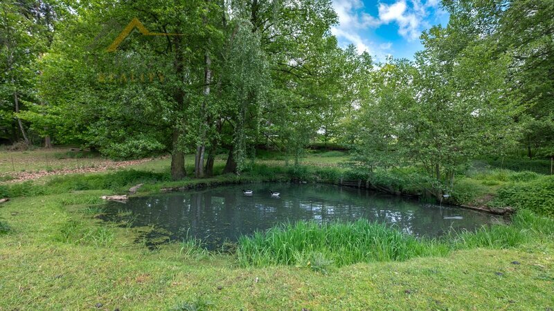 Dlouhodobý pronájem pozemku 6 665 m² ve Skalici nad Lužnicí – 2 vodní plochy, ovocné stromy, oplocen