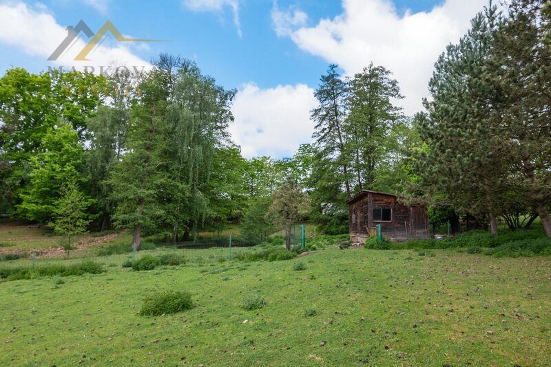Dlouhodobý pronájem pozemku 6 665 m² ve Skalici nad Lužnicí – 2 vodní plochy, ovocné stromy, oplocen