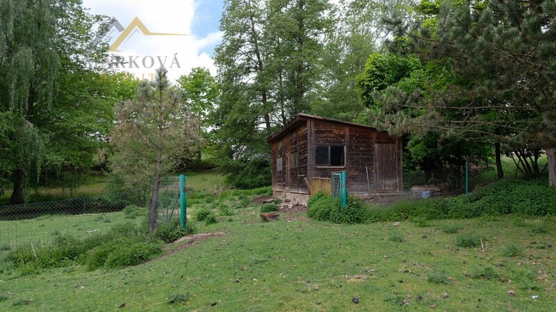 Dlouhodobý pronájem pozemku 6 665 m² ve Skalici nad Lužnicí – 2 vodní plochy, ovocné stromy, oplocen