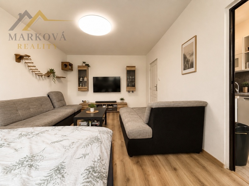 Prodej bytu 2+1, Sídliště Plešivec, Český Krumlov