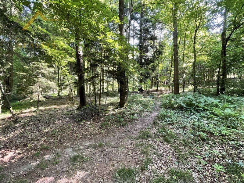 Prodej, rekreační chata přímo u řeky Malše, Doudleby