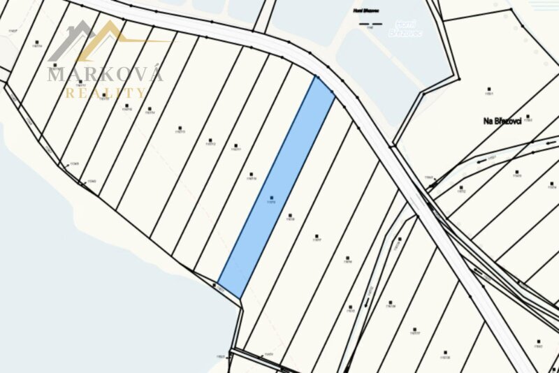 Prodej, 2/3 souboru pozemků, Dívčice, 10 895 m²