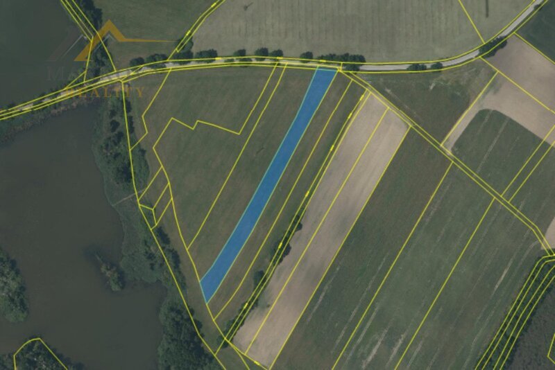 Prodej, 2/3 souboru pozemků, Dívčice, 10 895 m²