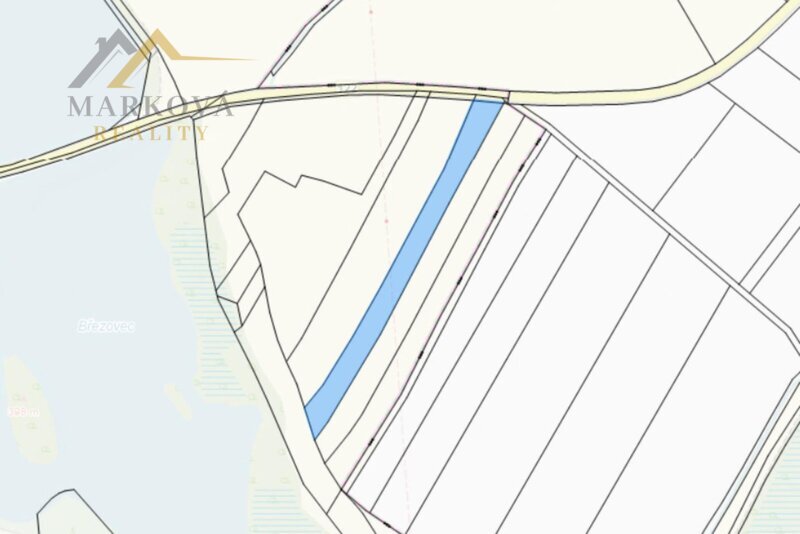 Prodej, 2/3 souboru pozemků, Dívčice, 10 895 m²