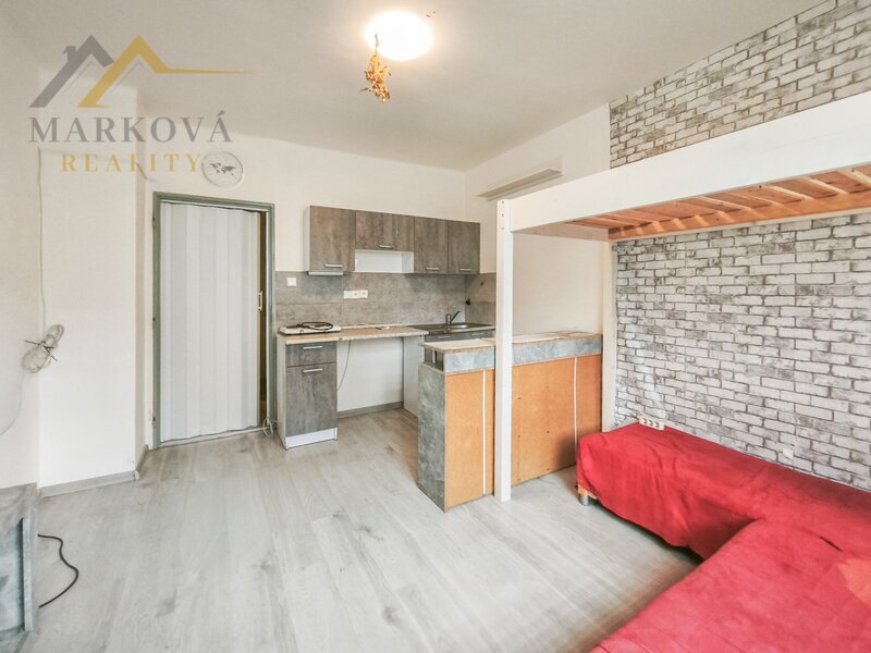 Pronájem vybaveného bytu 1+kk, 19 m², Planá nad Lužnicí