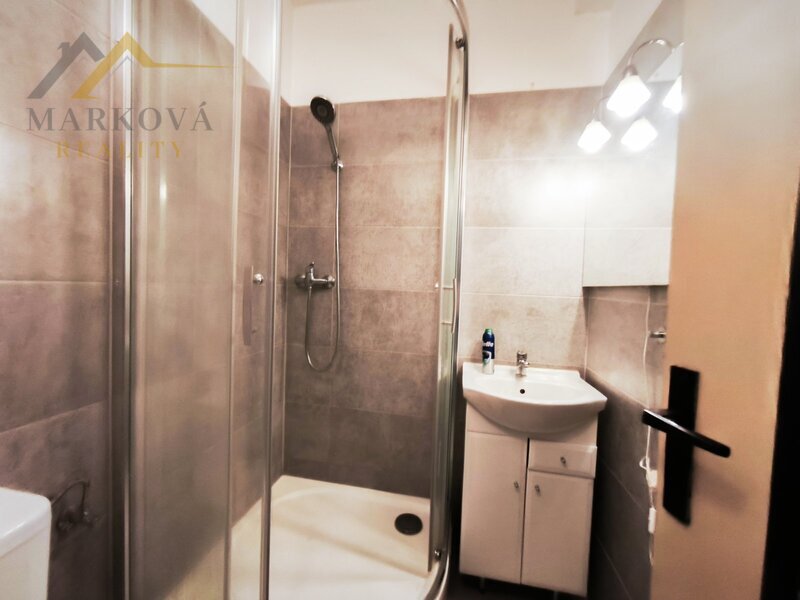 Pronájem vybaveného bytu 1+kk, 19 m², Planá nad Lužnicí