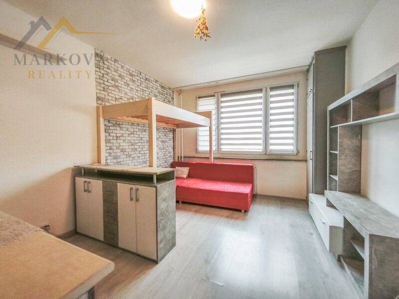 Pronájem vybaveného bytu 1+kk, 19 m², Planá nad Lužnicí