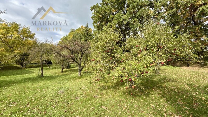 Prodej, rodinný dům / chalupa, Dívčice, 2 761 m²
