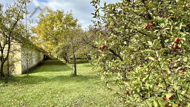 Prodej, rodinný dům / chalupa, Dívčice, 2 761 m²