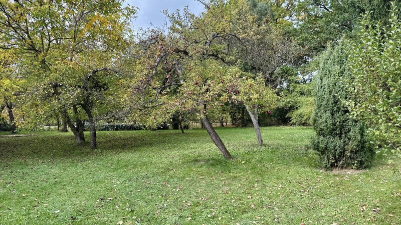 Prodej, rodinný dům / chalupa, Dívčice, 2 761 m²
