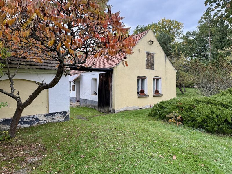 Prodej, rodinný dům / chalupa, Dívčice, 2 761 m²