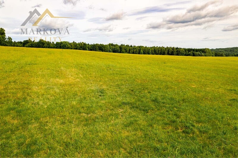 Prodej souboru pozemků, Klení, 98 591 m2